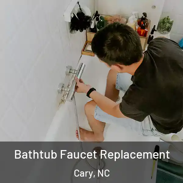 Bathtub Faucet Replacement Cary, NC