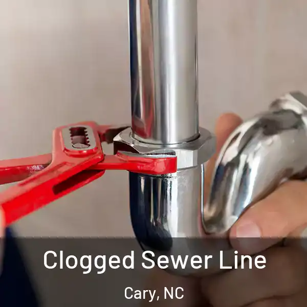  Clogged Sewer Line Cary, NC