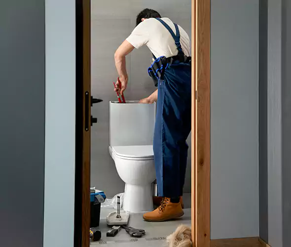 Professional Plumbers for Toilet Bowl Replacement in Cary, NC: Schedule Affordable Toilet Replacement Services With Us
