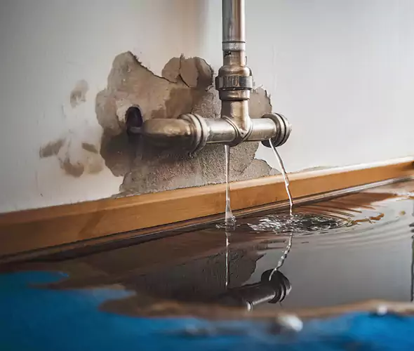 Professional Water Damage Restoration Experts in Cary, NC — Fast, Reliable & Certified