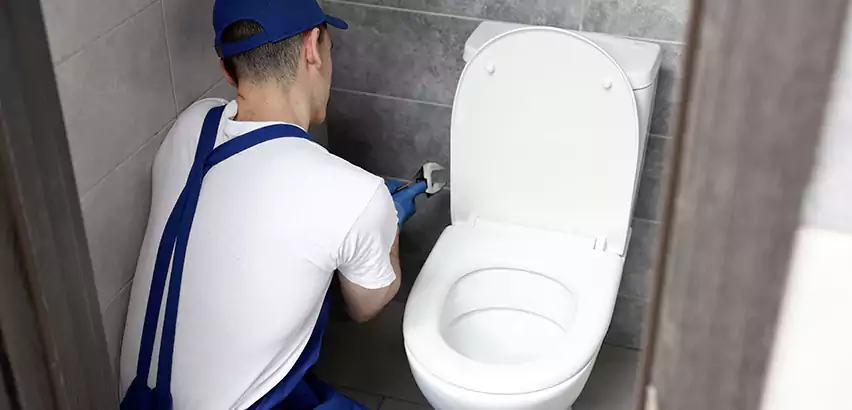 Toilet Lid Replacement in Cary