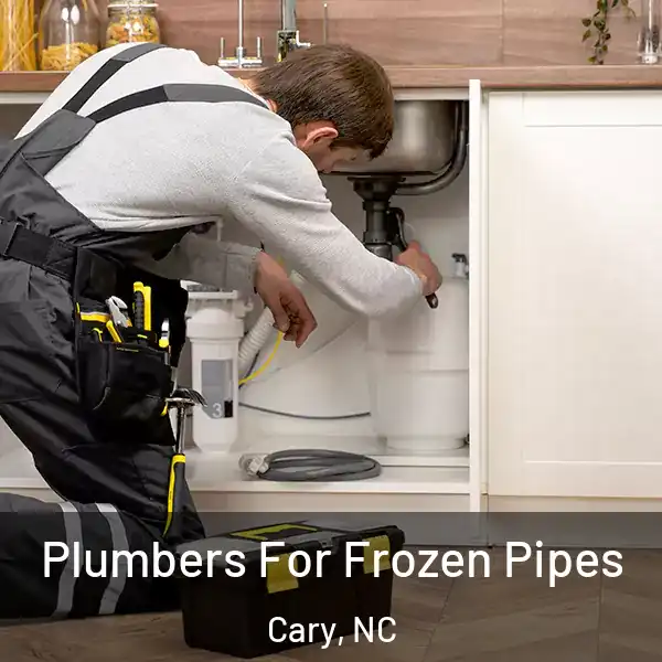  Plumbers For Frozen Pipes Cary, NC