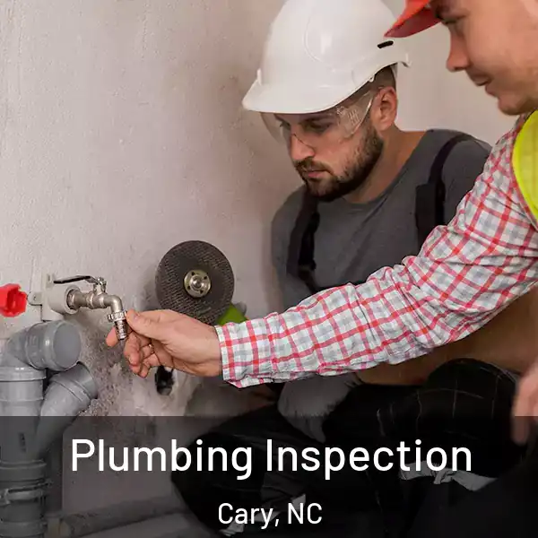  Plumbing Inspection Cary, NC