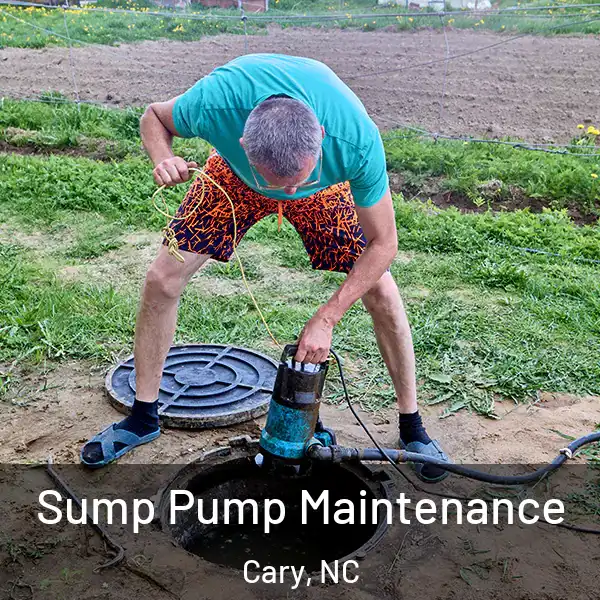  Sump Pump Maintenance Cary, NC