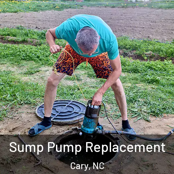  Sump Pump Replacement Cary, NC