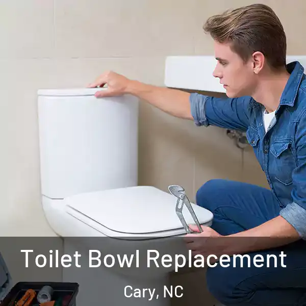 Toilet Bowl Replacement Cary, NC
