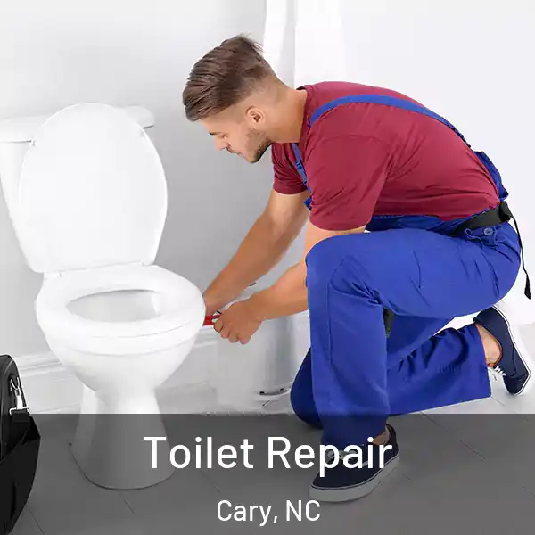  Toilet Repair Cary, NC
