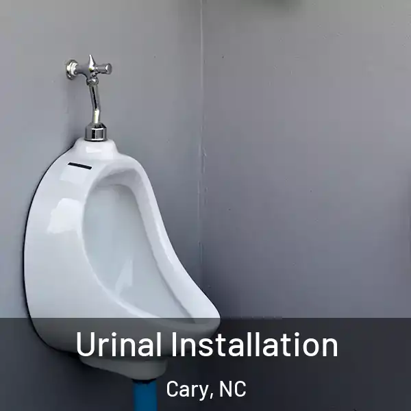  Urinal Installation Cary, NC