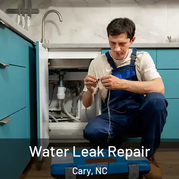  Water Leak Repair Cary, NC